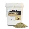 ACTIFOAL H.P - Aliment complémentaire lacté pour poulains