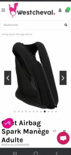 Airbag Spark Manège S