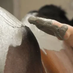 Algues intenses Premium - Cavasso