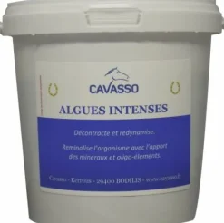 Algues intenses Premium - Cavasso