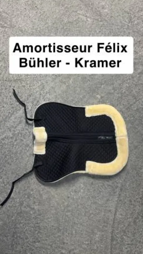 Amortisseur Félix Bühler - Kramer