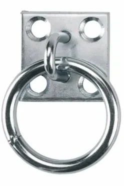 Anneau d'écurie avec plaque zinguée