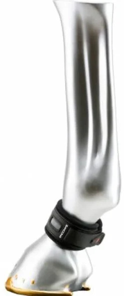 Anneau de paturon Zandona Superior Air