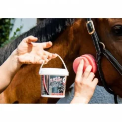 Anti-mouches répulsif Power Phaser Durativ - Leovet