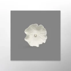 Art équestre - Porcelaine Equico X Atelier Douarn