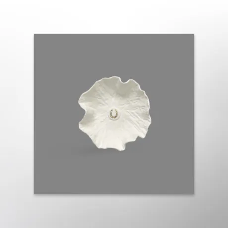 Art équestre - Porcelaine Equico X Atelier Douarn