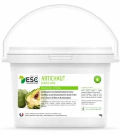 Artichaut drainage et detox - ESC