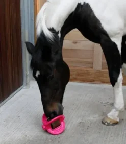 Balle 3 en 1 Bizzy Ball - Bizzy Horse