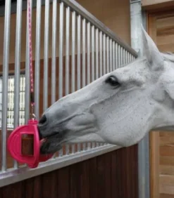 Balle 3 en 1 Bizzy Ball - Bizzy Horse