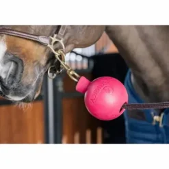 Balle de protection d'attache - Kentucky