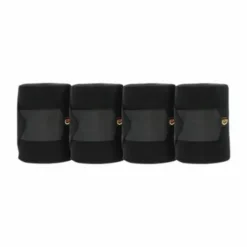 Bande de repos - Kentucky