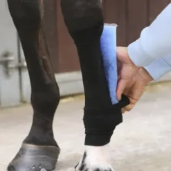 Bande pour chaussettes Tendon Grip - Kentucky