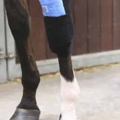 Bande pour chaussettes Tendon Grip - Kentucky