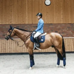 Bandes de polo avec bord cuir - Kentucky