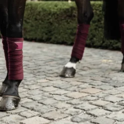 Bandes de polo avec bord cuir - Kentucky