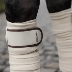 Bandes de polo avec bord cuir - Kentucky