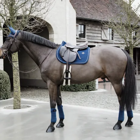 Bandes de polo Basic Velvet - Kentucky