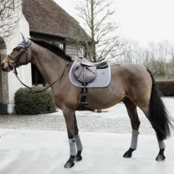 Bandes de polo Basic Velvet - Kentucky