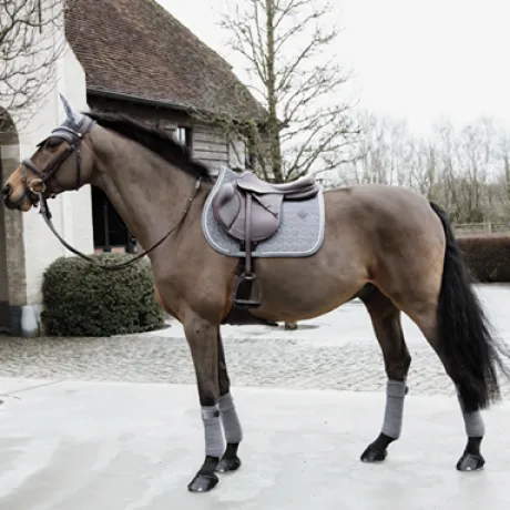 Bandes de polo Basic Velvet - Kentucky