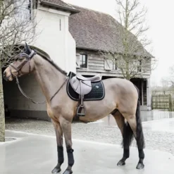 Bandes de polo Basic Velvet - Kentucky