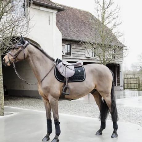 Bandes de polo Basic Velvet - Kentucky