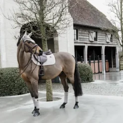 Bandes de polo Basic Velvet - Kentucky