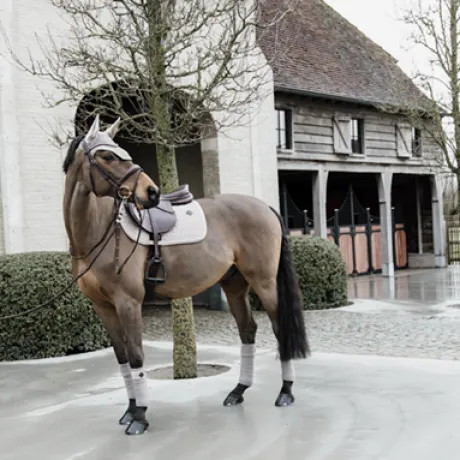 Bandes de polo Basic Velvet - Kentucky