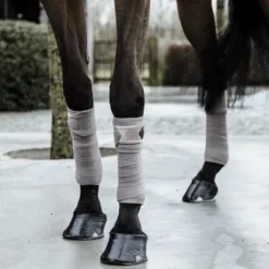 Bandes de polo Basic Velvet - Kentucky