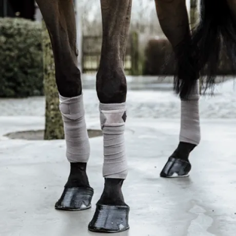 Bandes de polo Basic Velvet - Kentucky