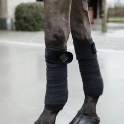 Bandes de polo Basic Velvet - Kentucky