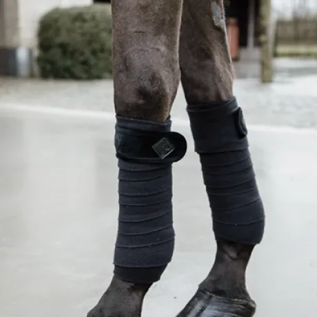 Bandes de polo Basic Velvet - Kentucky