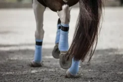 Bandes de polo bleu ciel Morning Sky - Equito