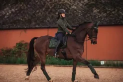 Bandes de polo Equestrian Stockholm - Deep Olivine