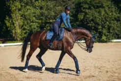 Bandes de polo Equestrian Stockholm - Monaco Blue