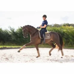 Bandes de polo GEM COLLECTION SD Design - SMOKY QUARTZ