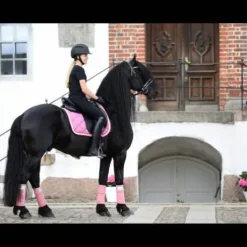 Bandes de polo My Passion SD Design - Divine Rose