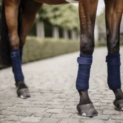 Bandes de polo Pearls - Kentucky