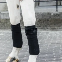 Bandes de polo Velvet Pearl - Kentucky