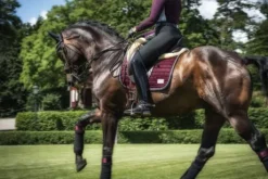 Bandes polaire Black Cherry - Equito