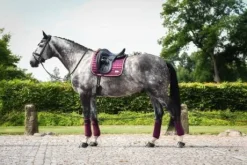 Bandes polaire Prune - Plum/Rose Gold- Equito