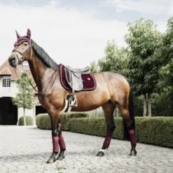 Bandes polaires New Style - Kentucky