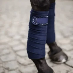 Bandes polaires Pearls - Kentucky