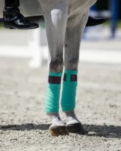 Bandes polaires turquoise Frosty Mint - Equito