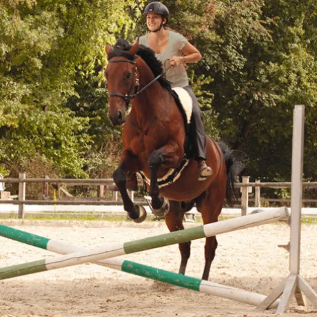 Barefoot RIDE ON physio – SUPPORT Nature