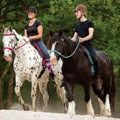 Barefoot RIDE ON physio : trois couleurs au choix