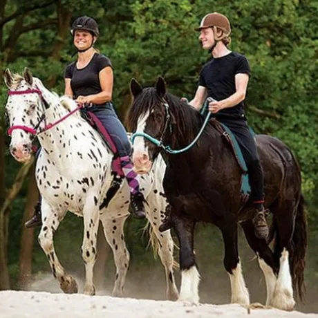 Barefoot RIDE ON physio : trois couleurs au choix