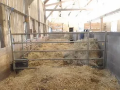 Barrières d'élevage