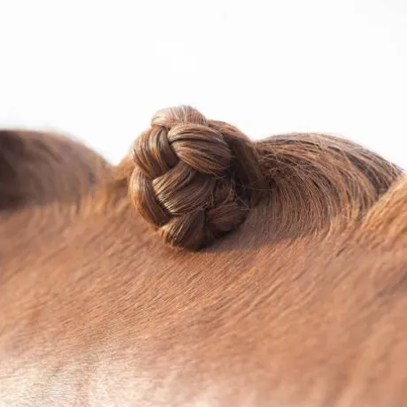 Baton de cire pour pions QHP