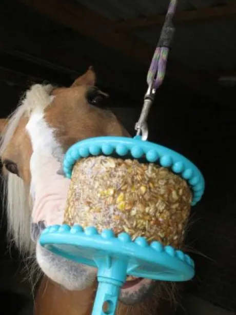 Bloc à lécher friandise GRANOLA Saveurs - LIKIT