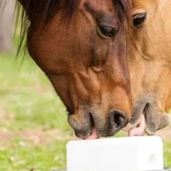 Bloc Sel'pur 5kg - Sodi